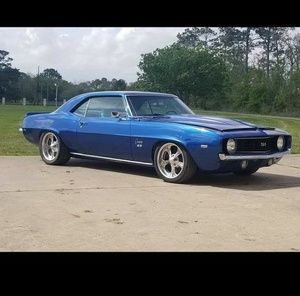 Meet your Posher, Henry